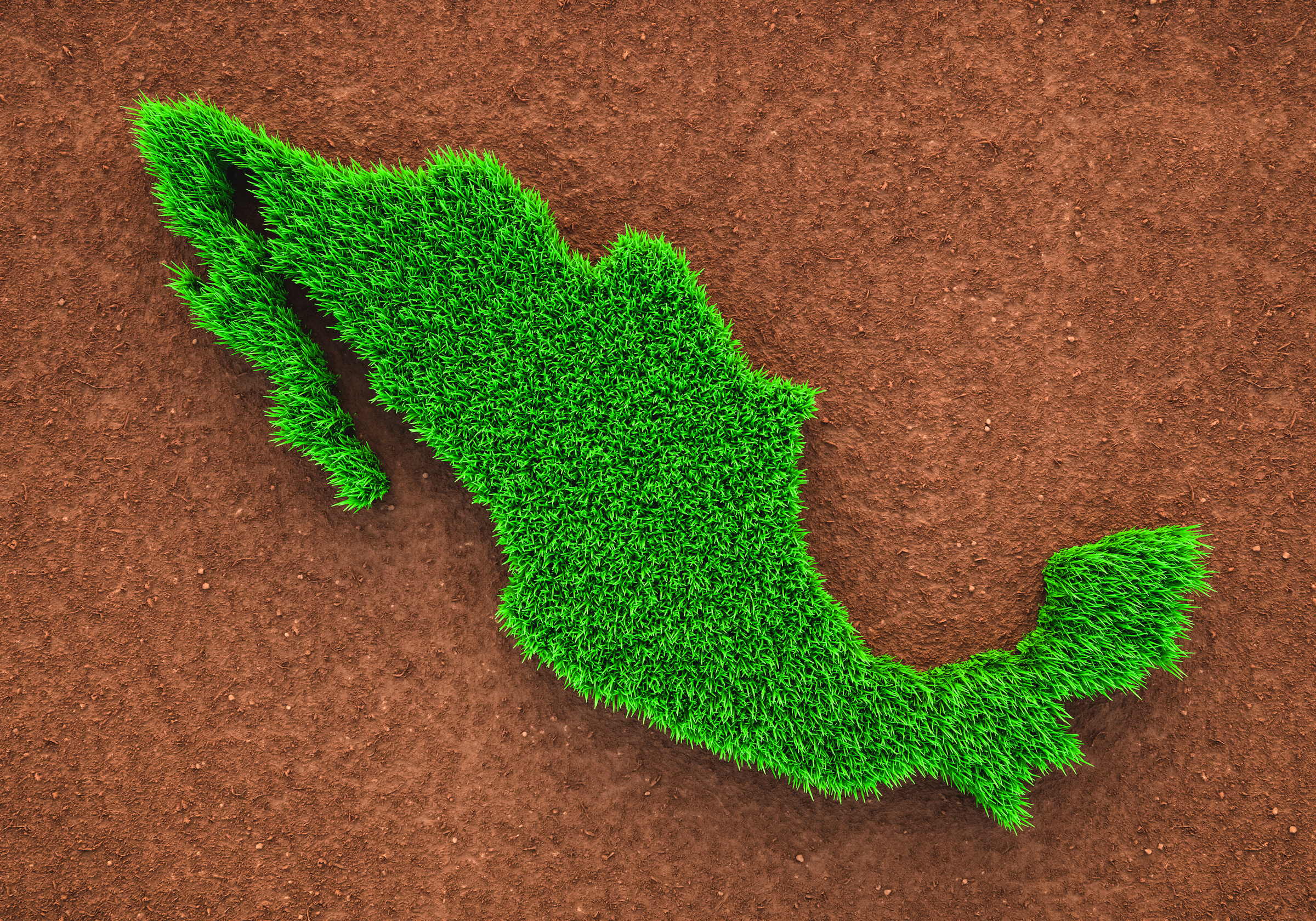 Grass map of Mexico